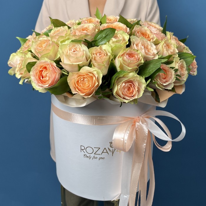 51 пионовидная кремовая роза Гравити в коробке