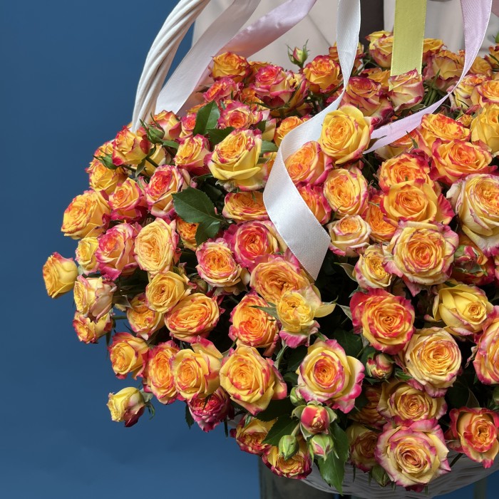 51 кустовая роза Саммер Дэнс в корзине