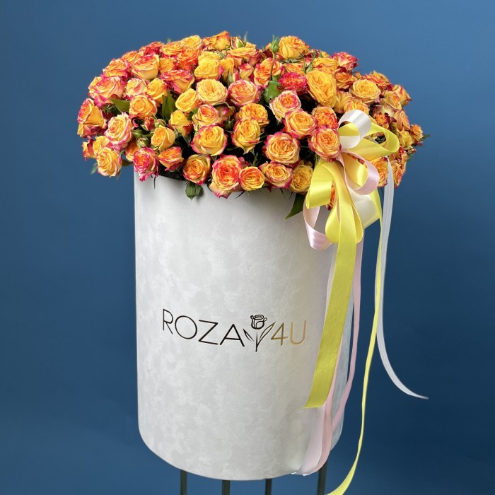 51 кустовая роза Саммер Дэнс в большой бархатной коробке