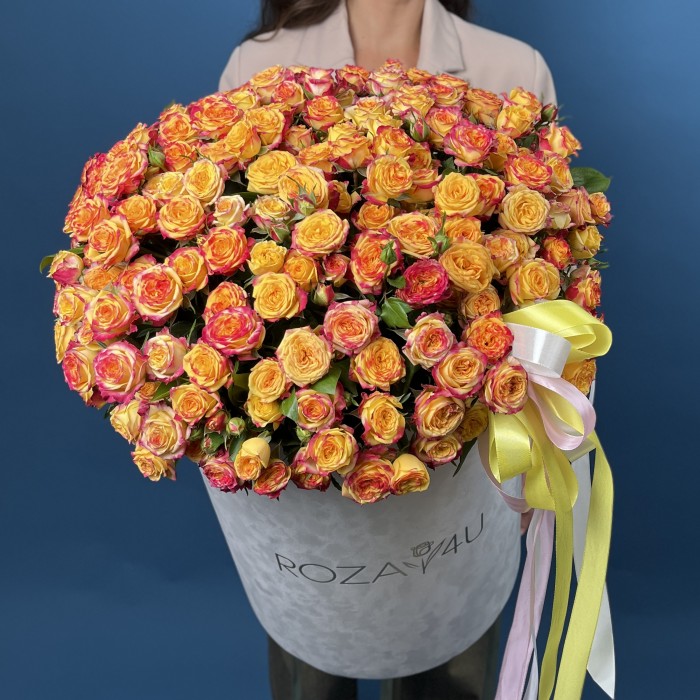 51 кустовая роза Саммер Дэнс в большой бархатной коробке