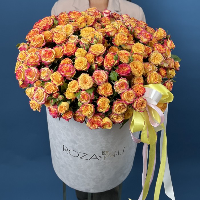 51 кустовая роза Саммер Дэнс в большой бархатной коробке