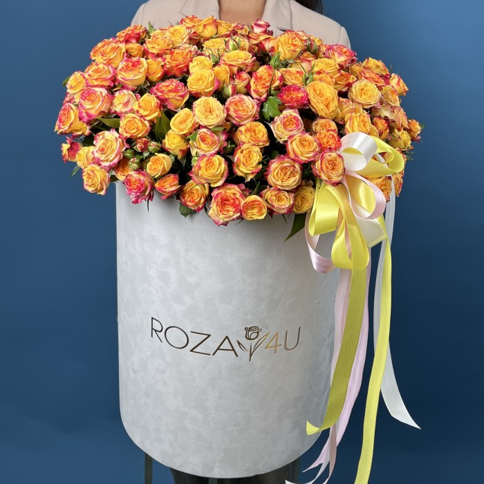 51 кустовая роза Саммер Дэнс в большой бархатной коробке