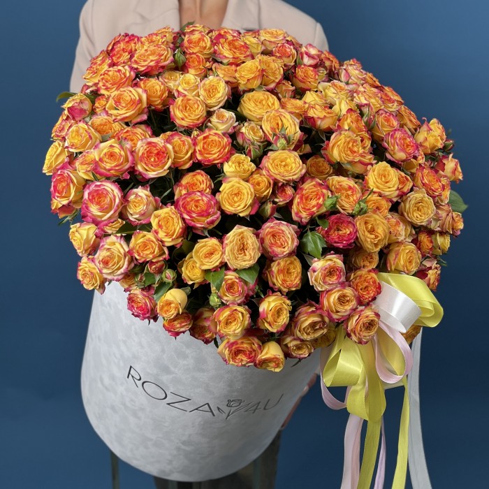 51 кустовая роза Саммер Дэнс в большой бархатной коробке