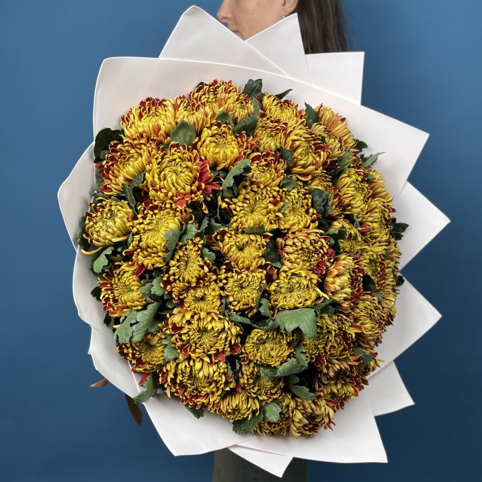 51 Желто-красная хризантема Том Пирс