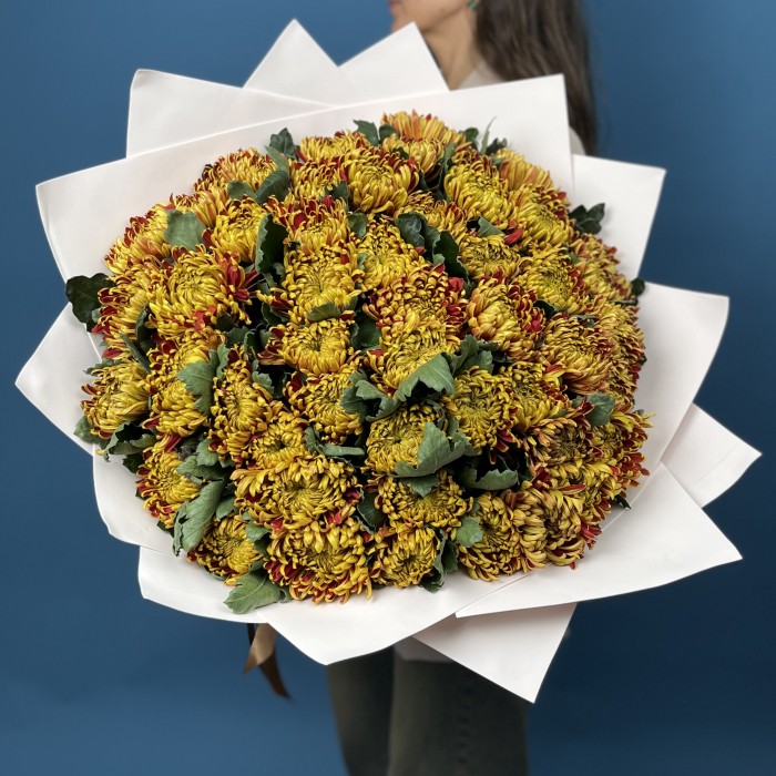 51 Желто-красная хризантема Том Пирс