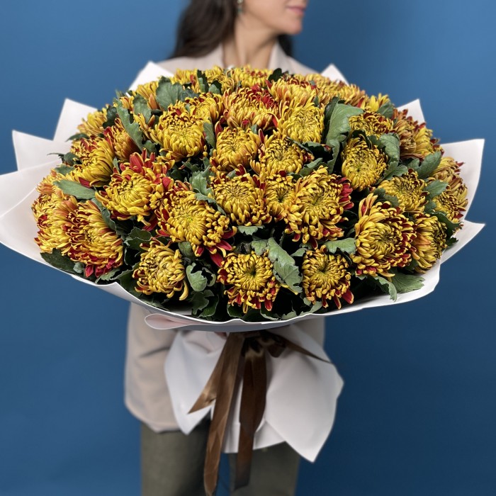 51 Желто-красная хризантема Том Пирс