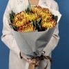 7 желто-красных хризантем Том Пирс