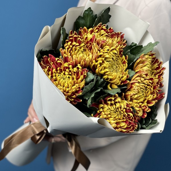 7 желто-красных хризантем Том Пирс
