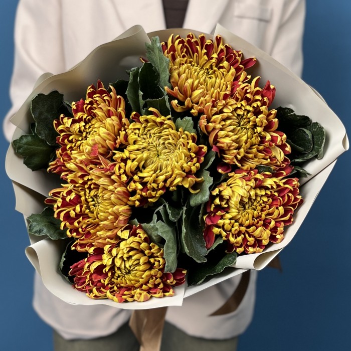 7 желто-красных хризантем Том Пирс