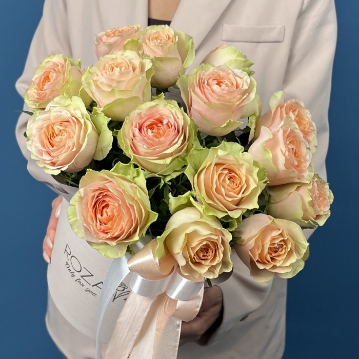 15 пионовидных кремовых роз Гравити в коробке