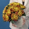 15 Желто-красных хризантем Том Пирс в коробке