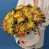25 желто-красных хризантем Том Пирс в коробке