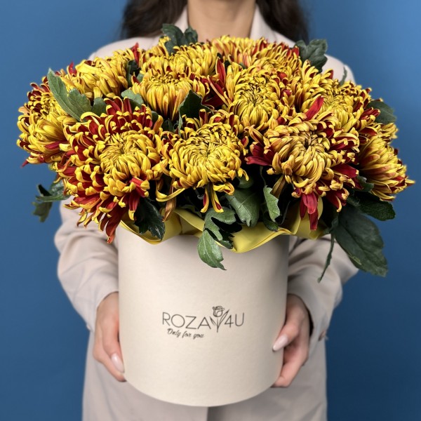 25 желто-красных хризантем Том Пирс в коробке