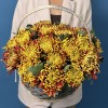 25 желто-красных хризантем Том Пирс в корзине