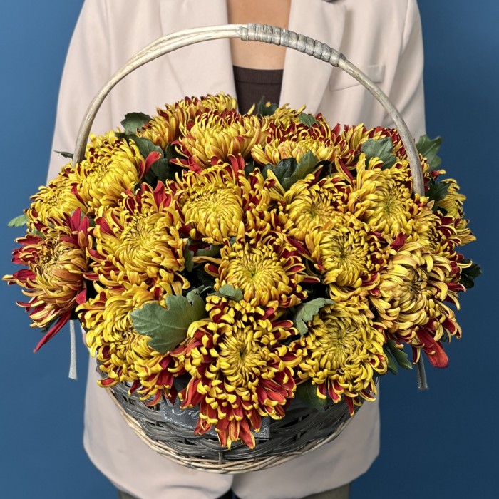 25 желто-красных хризантем Том Пирс в корзине