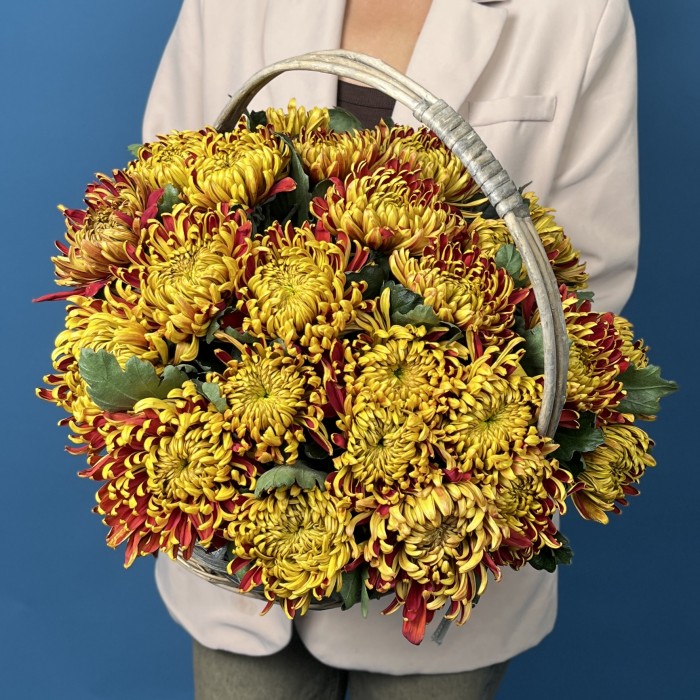25 желто-красных хризантем Том Пирс в корзине