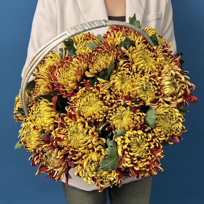 25 желто-красных хризантем Том Пирс в корзине