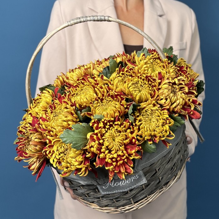 25 желто-красных хризантем Том Пирс в корзине
