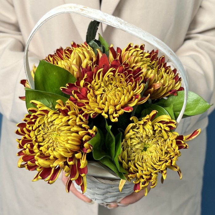 5 Желто-красных хризантем Том Пирс в корзине