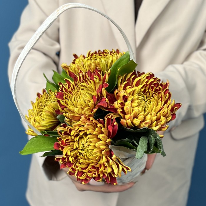 5 Желто-красных хризантем Том Пирс в корзине