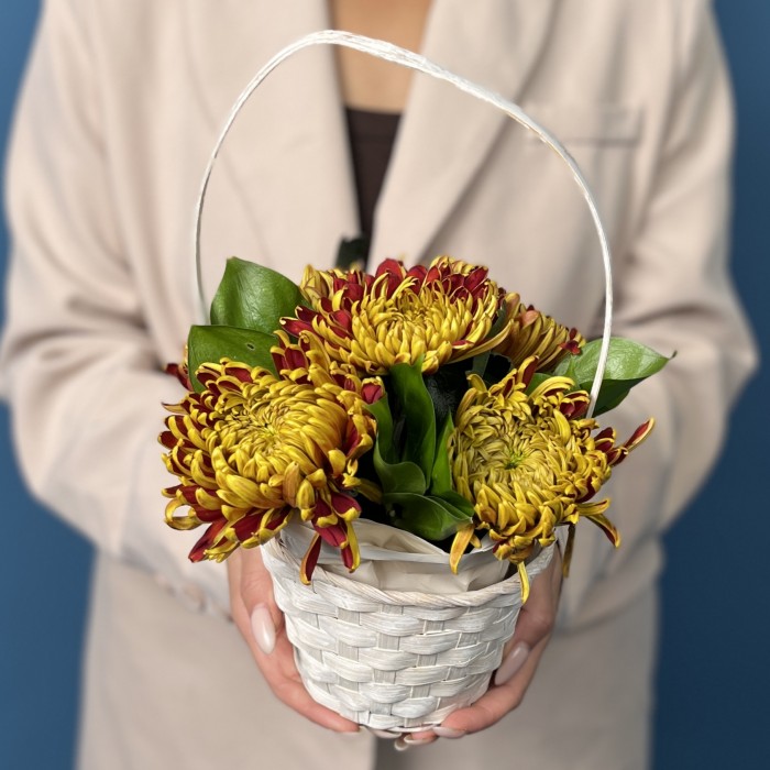 5 Желто-красных хризантем Том Пирс в корзине