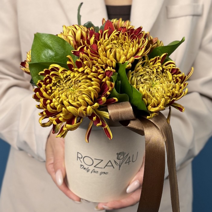5 желто-красных хризантем Том Пирс в коробке
