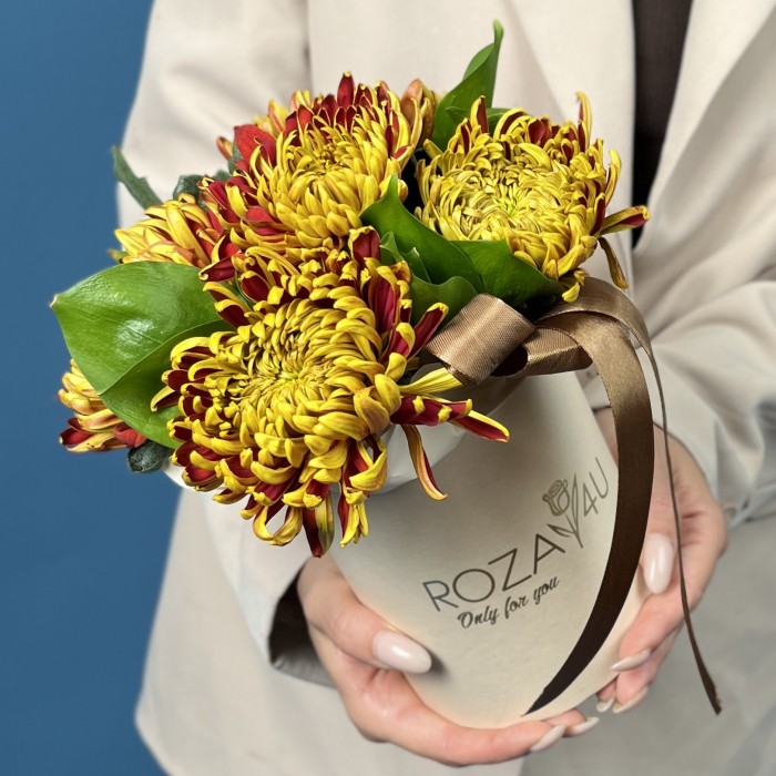 5 желто-красных хризантем Том Пирс в коробке