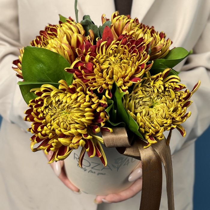5 желто-красных хризантем Том Пирс в коробке