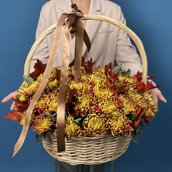 51 желто-красная хризантема Том Пирс в корзине