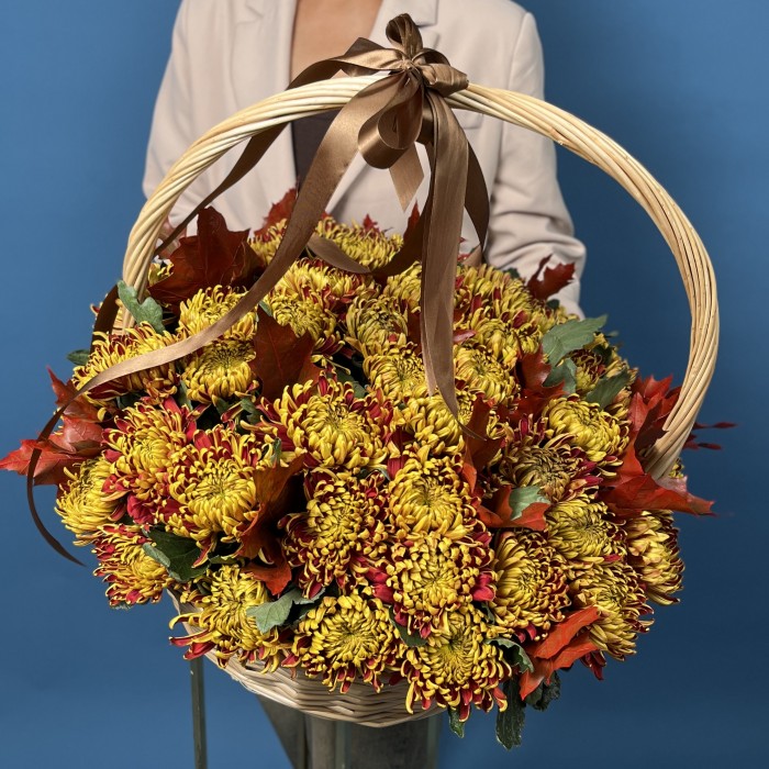 51 желто-красная хризантема Том Пирс в корзине