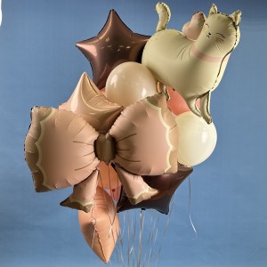 Набор шаров Бант с Кошечкой