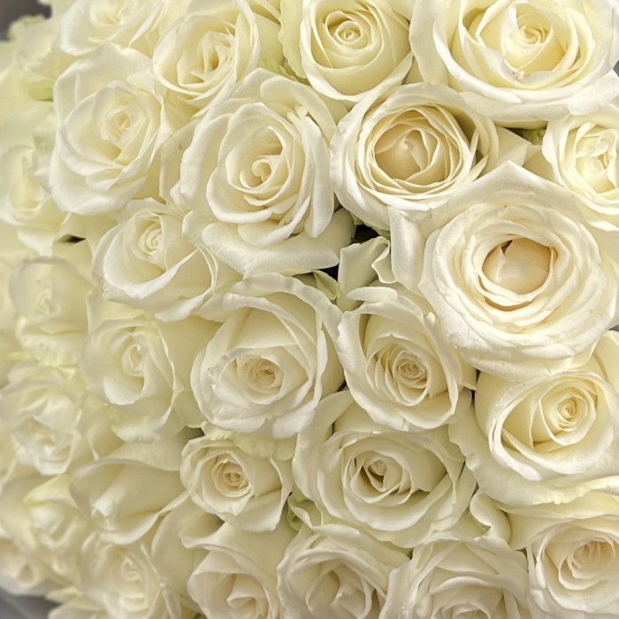 41 белая крупная роза 40 см