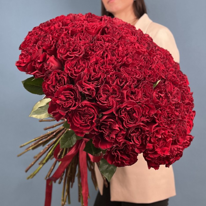 101 красная пионовидная роза Хартс 70 см
