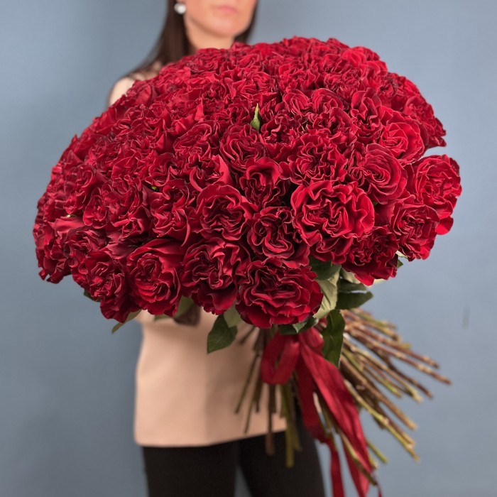 101 красная пионовидная роза Хартс 70 см