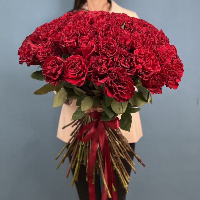 101 красная пионовидная роза Хартс 70 см