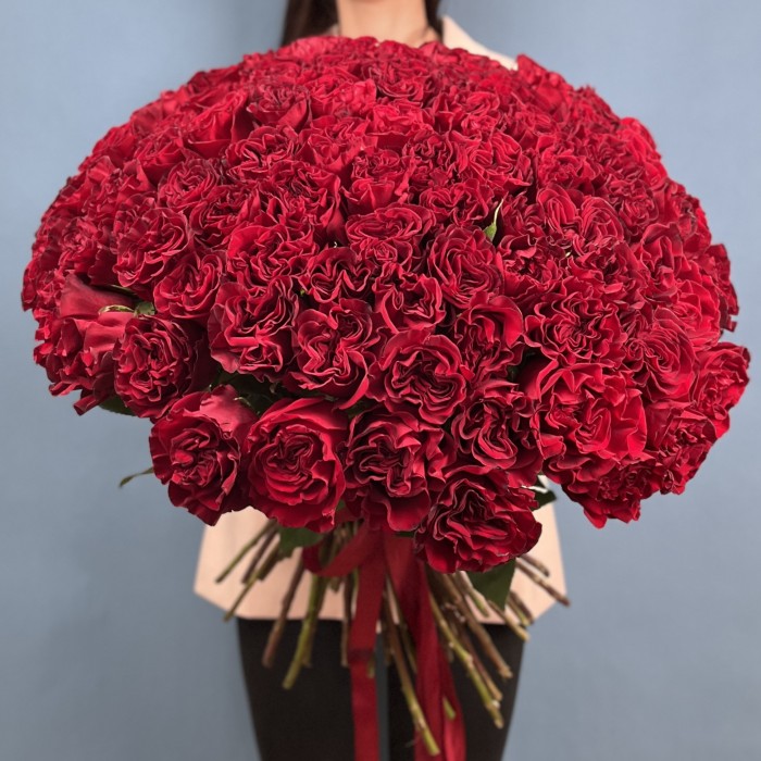 101 красная пионовидная роза Хартс 70 см