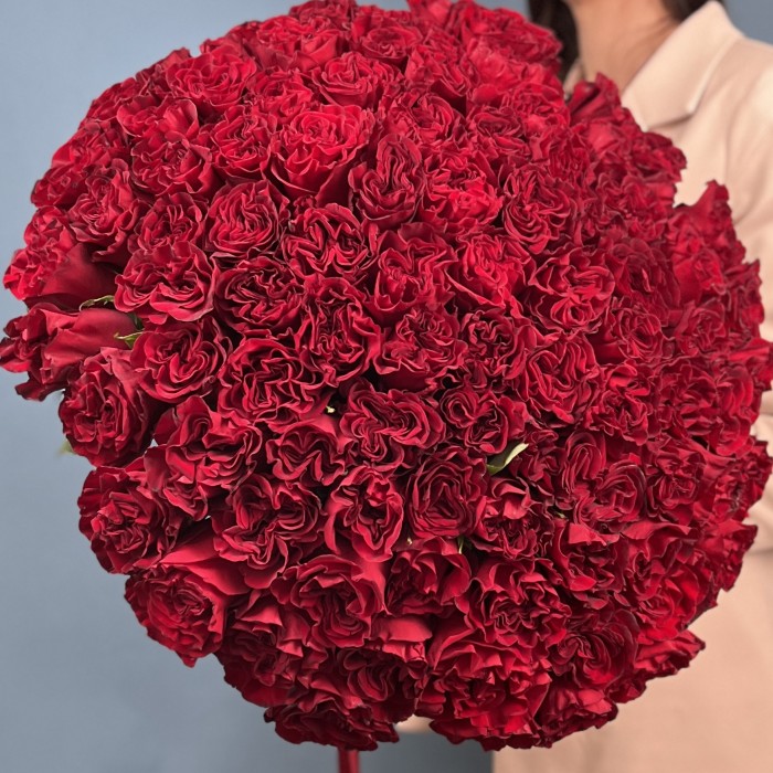101 красная пионовидная роза Хартс 70 см