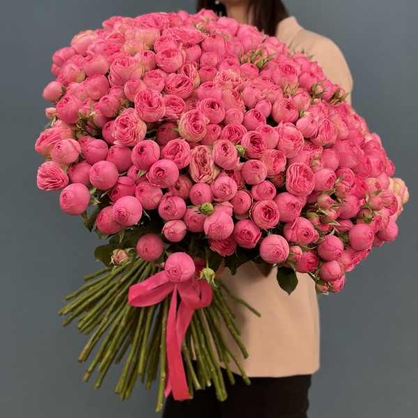 101 кустовая пионовидная розовая роза Жизель 60 см