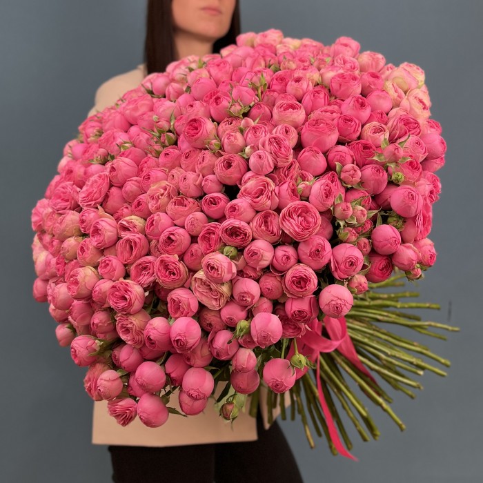 101 кустовая пионовидная розовая роза Жизель 60 см