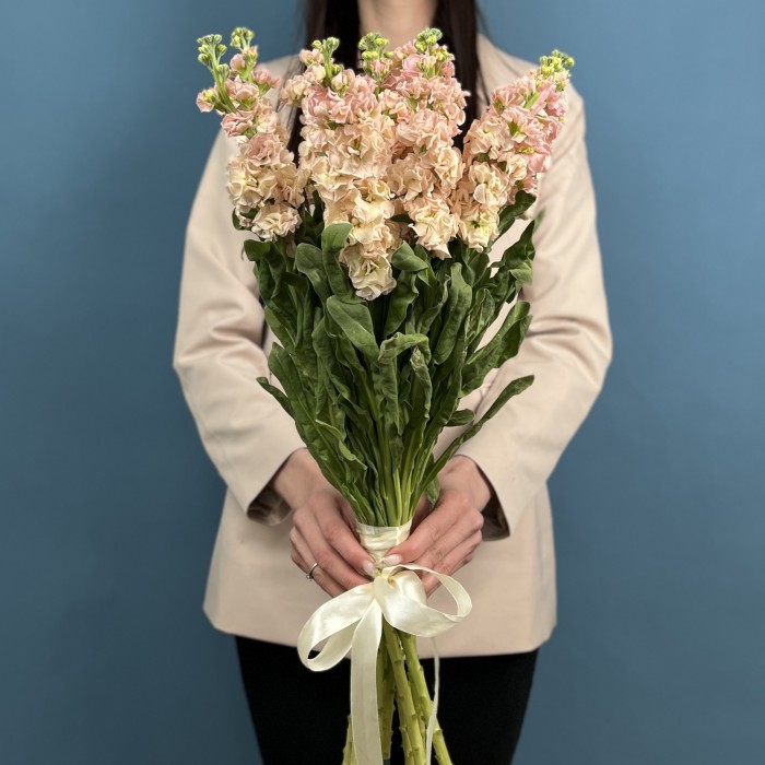 Букет из 11 персиковых маттиол