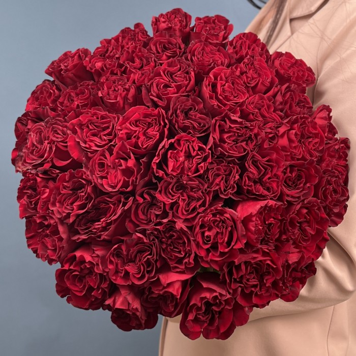 51 красная пионовидная роза Хартс 70 см