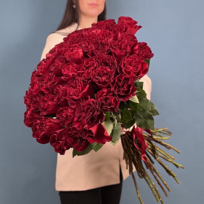 51 красная пионовидная роза Хартс 70 см