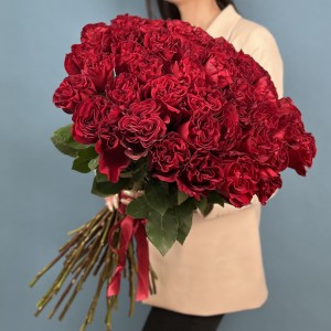 51 красная пионовидная роза Хартс 70 см