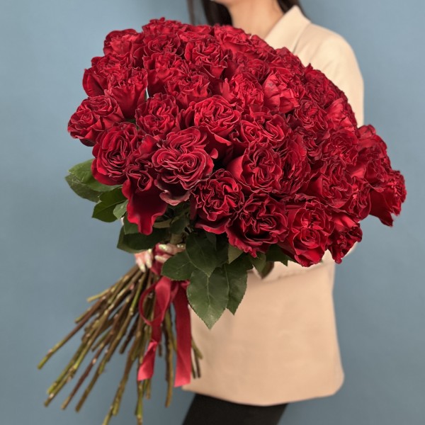 51 красная пионовидная роза Хартс 70 см
