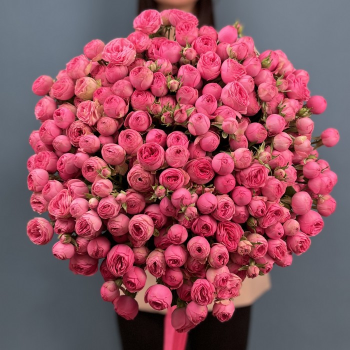 51 кустовая пионовидная розовая роза Жизель 60 см