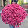 101 кустовая роза Эйлин 70 см