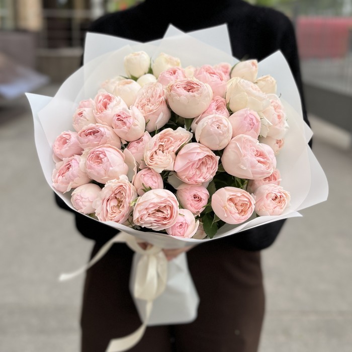 11 кустовых пионовидных роз Мансфилд парк 50 см