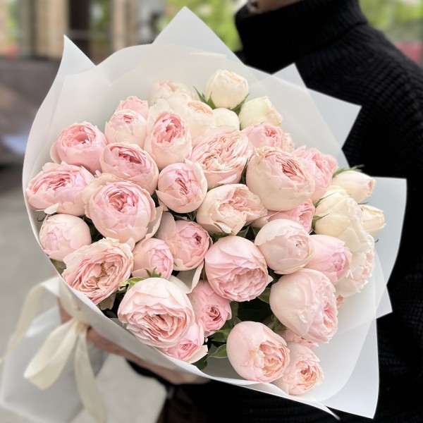 11 кустовых пионовидных роз Мансфилд парк 50 см