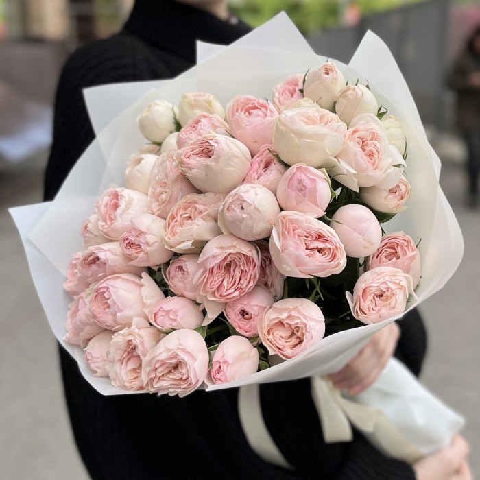 11 кустовых пионовидных роз Мансфилд парк 50 см