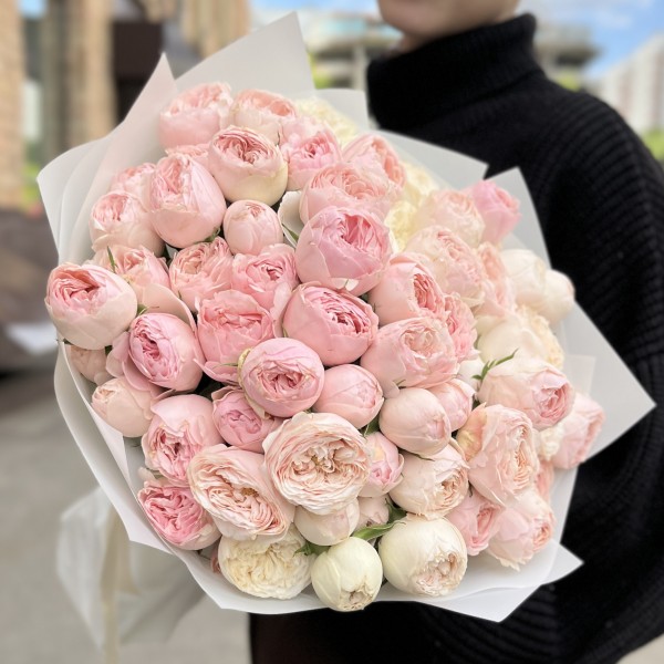 15 кустовых розовых роз Мансфилд парк 50 см